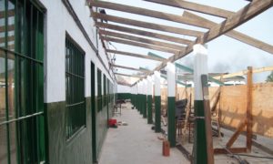 Nota525.JPG
